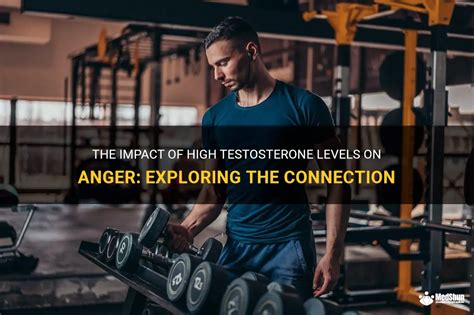 Does high testosterone cause anger?