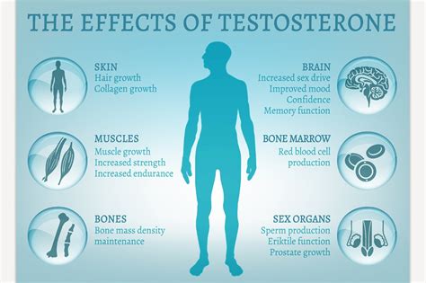 Does high testosterone cause high dopamine?