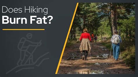 Does hiking burn a lot of fat?