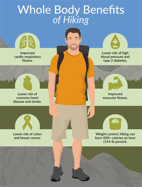 Does hiking give you a good body?
