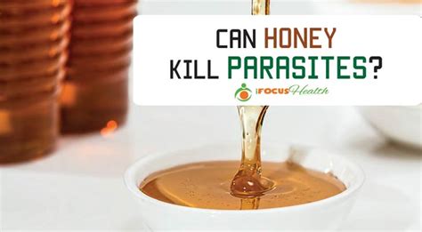 Does honey kill parasites?