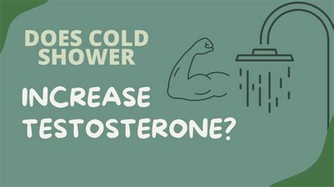 Does hot shower increase testosterone?
