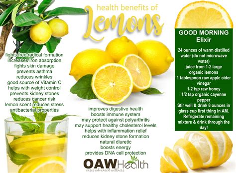 Does hot water destroy vitamin C in lemon?