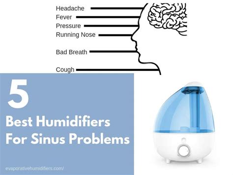 Does humidity help sinusitis?