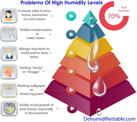 Does humidity rise or fall at night?