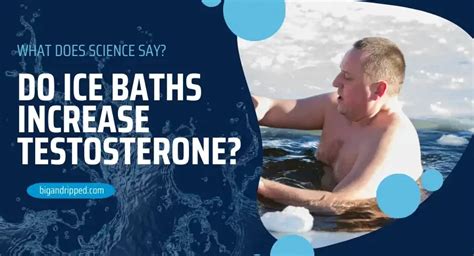 Does ice increase testosterone?