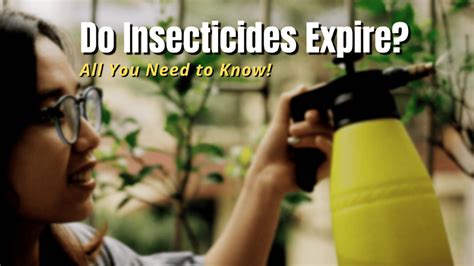 Does insecticide evaporate?