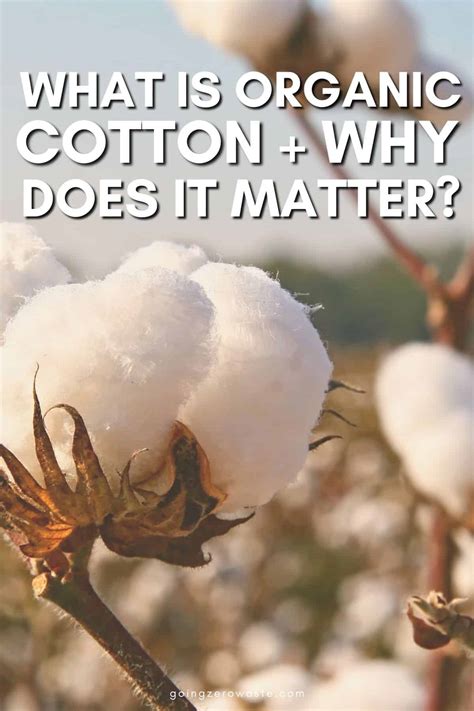 Does it matter if cotton is organic?