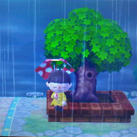 Does it rain in Animal Crossing?
