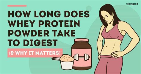 Does it take 3 years to digest whey protein?