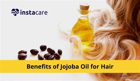 Does jojoba oil penetrate hair?