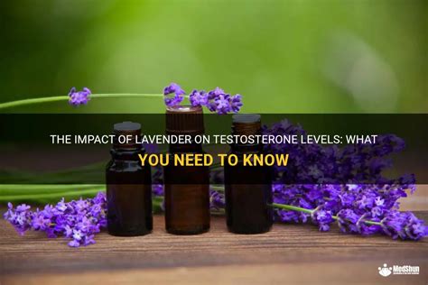 Does lavender disrupt hormones?