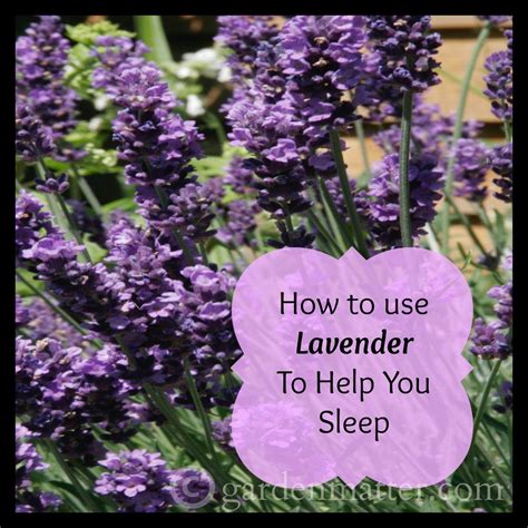 Does lavender help with arousal?