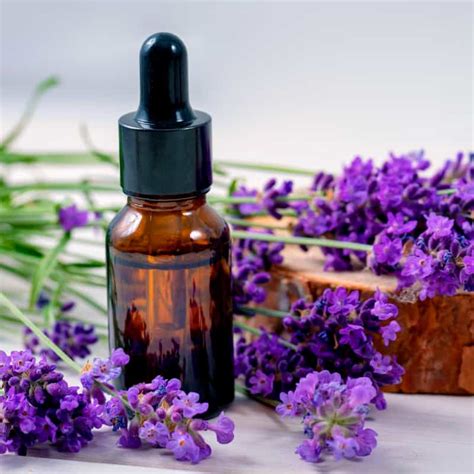 Does lavender oil actually work?