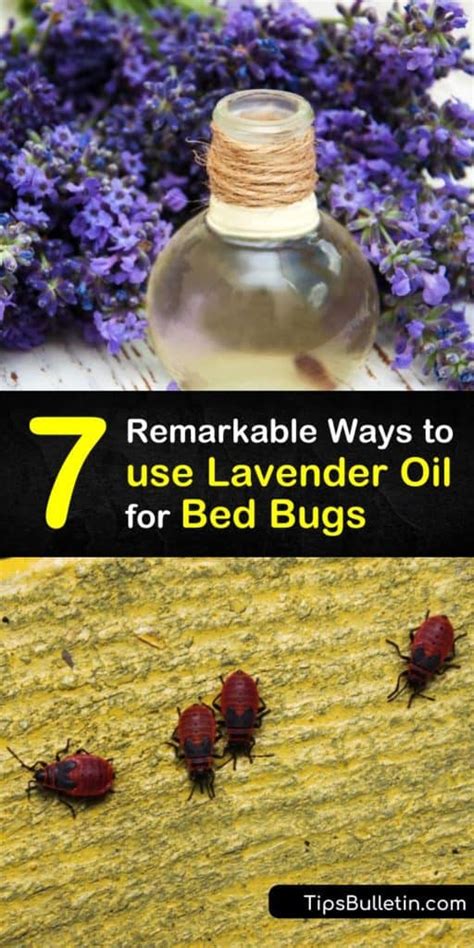 Does lavender oil attract bugs?