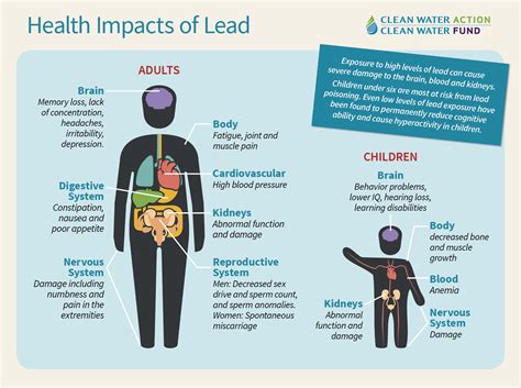 Does lead leave the body?