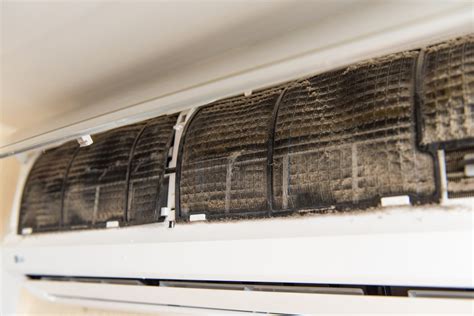 Does leaving AC on prevent mold?