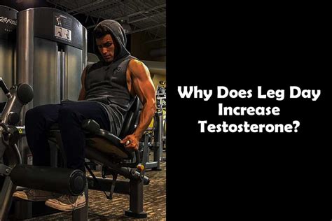 Does leg day increase testosterone?