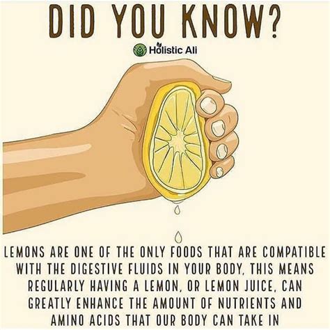 Does lemon help the pancreas?