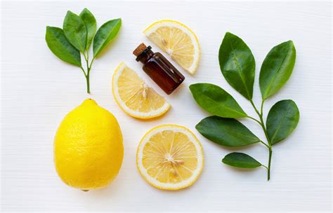 Does lemon juice help poison ivy?