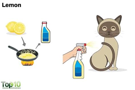 Does lemon juice scare cats?