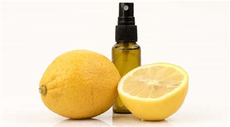 Does lemon kill fleas?