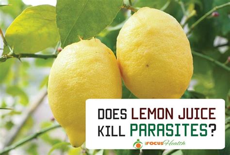 Does lemon kill parasites?