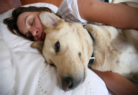 Does letting your dog sleep with you make separation anxiety worse?