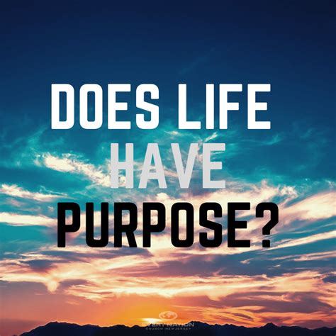 Does life have to have a purpose?