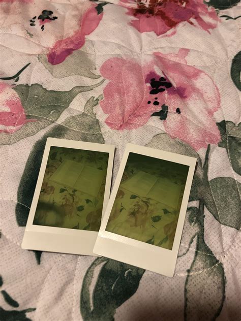 Does light damage Polaroids?