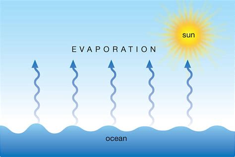 Does light increase evaporation?