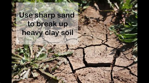 Does lime break up clay soil?