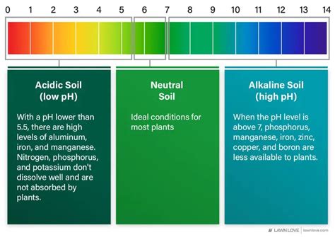 Does lime raise or lower pH?