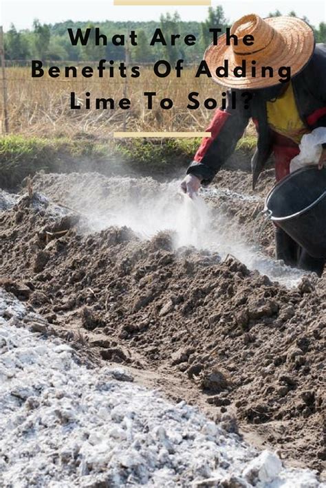 Does lime soften soil?