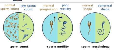 Does low sperm count mean poor quality?