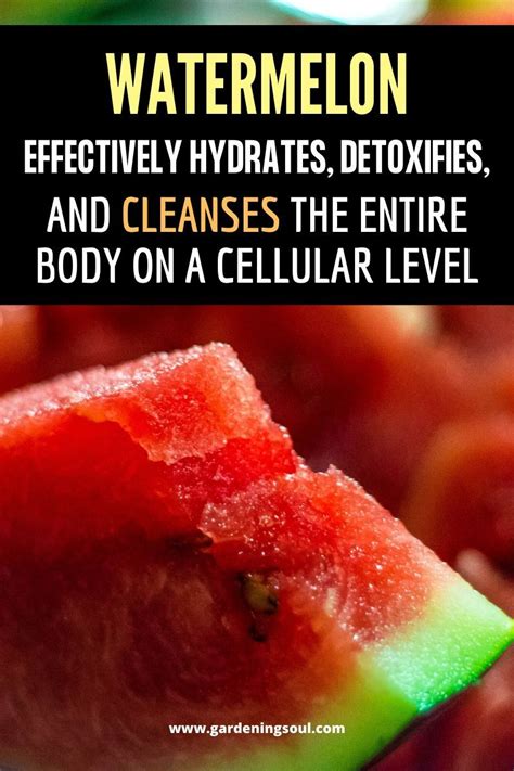 Does melon detox your body?