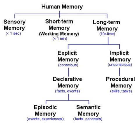 Does memory start at 0?