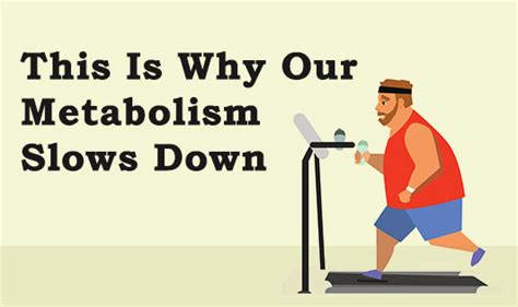 Does metabolism slow down in late 30s?