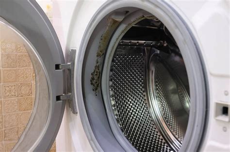 Does mildew spread in washing machine?