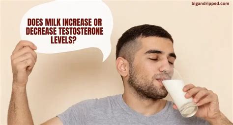 Does milk affect testosterone?