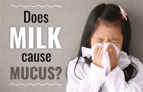 Does milk cause phlegm in babies?