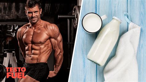 Does milk have high testosterone?