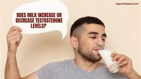 Does milk increase testosterone?