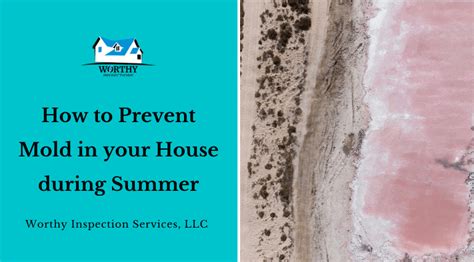Does mold go away in summer?