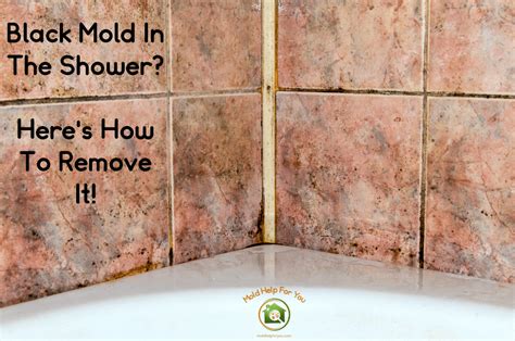 Does mold go away naturally?