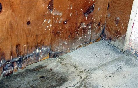Does mold grow in basement in winter?