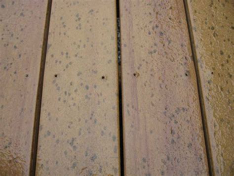 Does mold grow on composite decking?