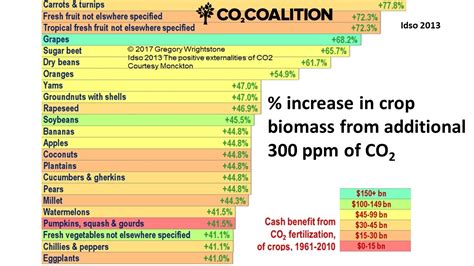 Does more CO2 mean more bicarbonate?