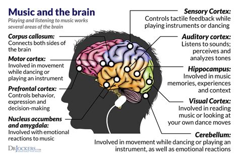 Does music have an effect on intelligence?
