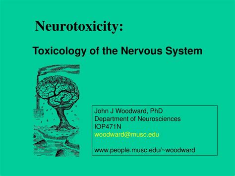 Does neurotoxicity go away?